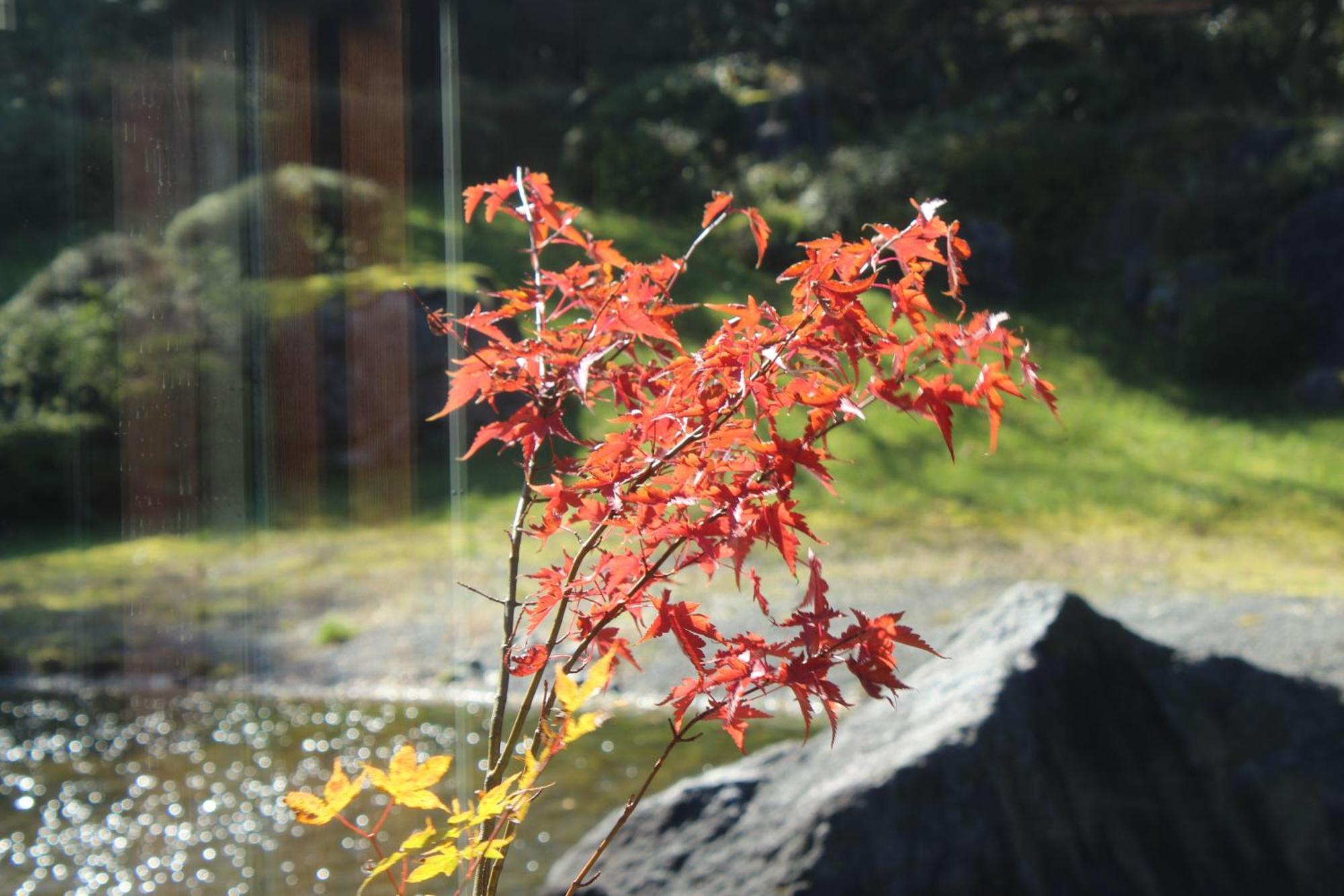 Hakone Yunohana Prince Hotel Kanagawa Exteriör bild