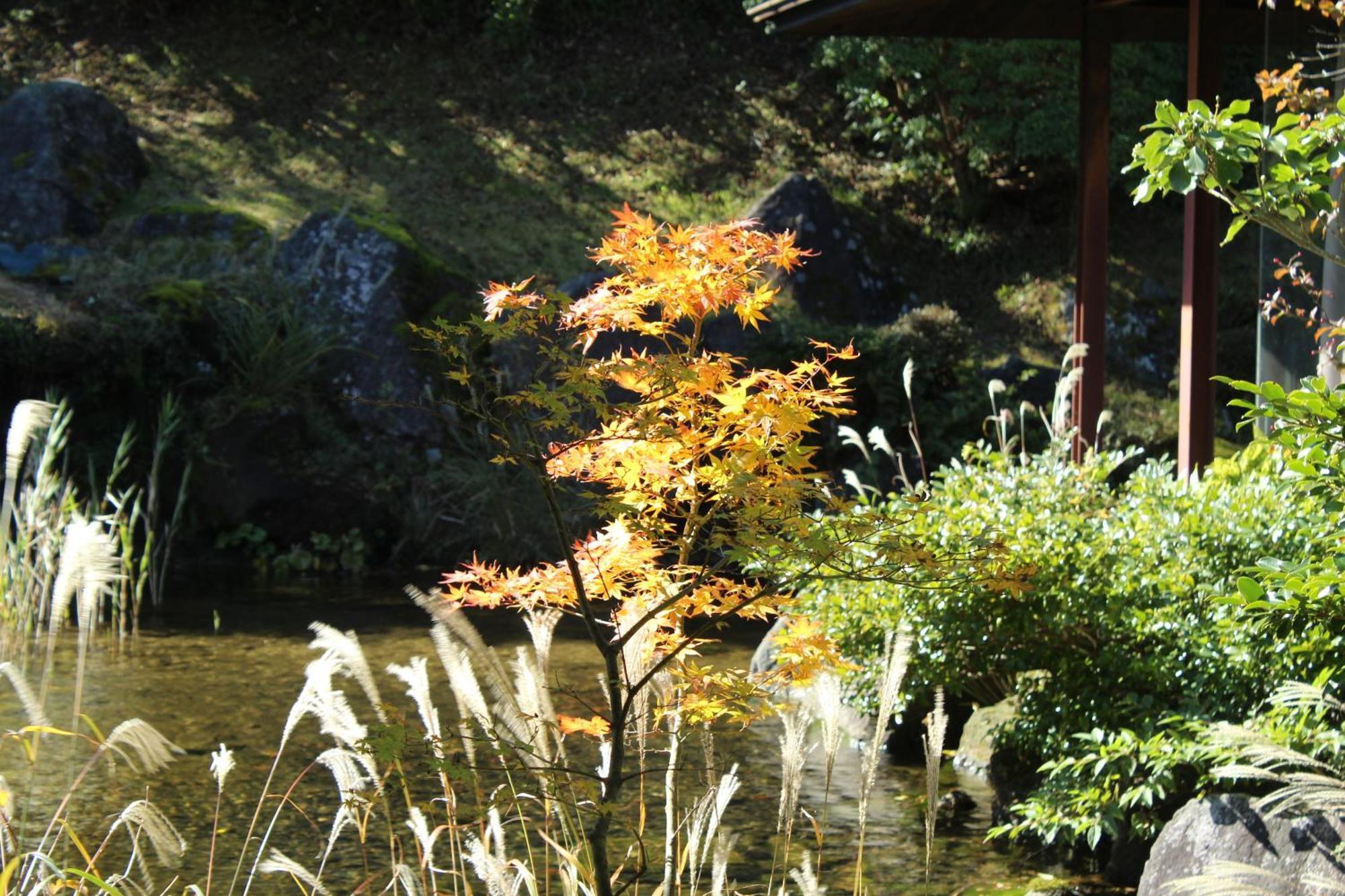 Hakone Yunohana Prince Hotel Kanagawa Exteriör bild
