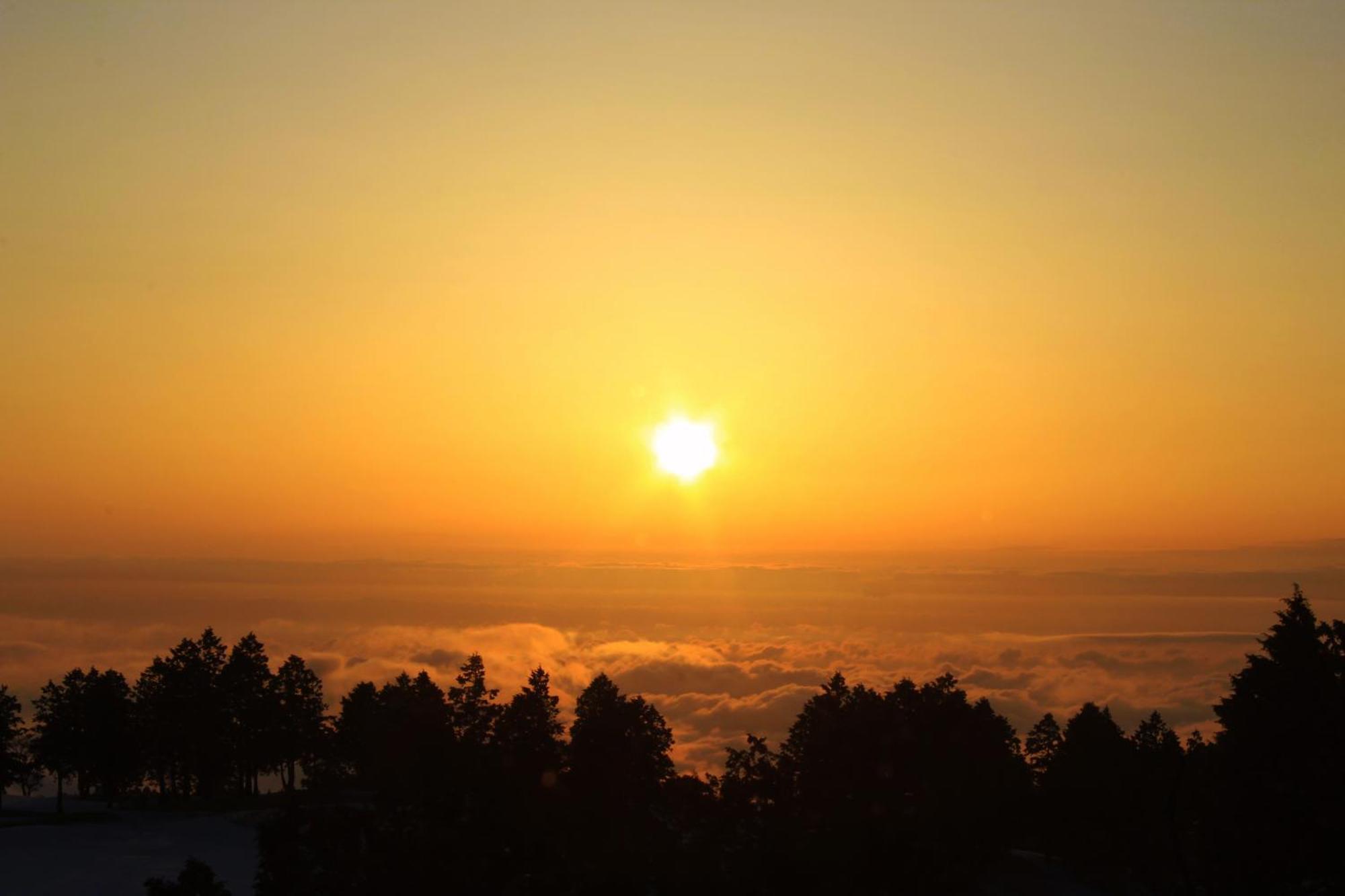 Hakone Yunohana Prince Hotel Kanagawa Exteriör bild